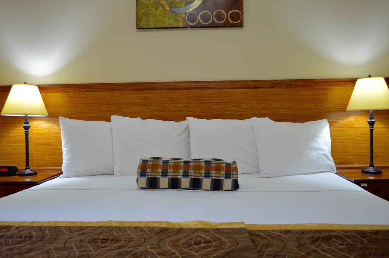 Kiskadee Korner Otel Port of Spain Dış mekan fotoğraf